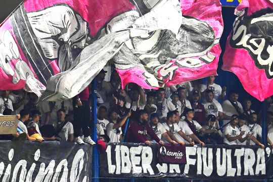 Fani Rapid, ultras Rapid, FOTO: Imago