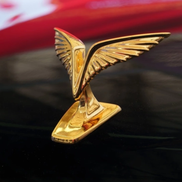 Cum arată „Rolls-Royce”-ul din Vietnam, cu schimbător placat cu aur și trei motoare