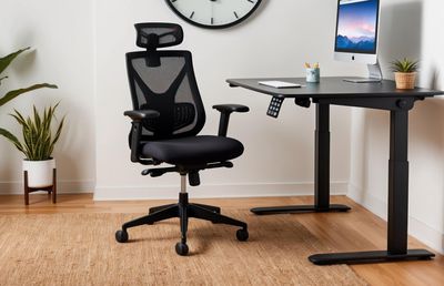 Scaun de birou simplu sau ergonomic? Ce-i face pe angajați să se simtă confortabil la locul de muncă?