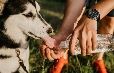 Confortul picioarelor în sezonul cald: cum alegem încălțămintea pentru un stil de viață activ