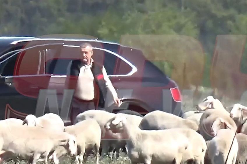 Gigi Becali, cu Bentley-ul pe câmp // FOTO: Captură spynews