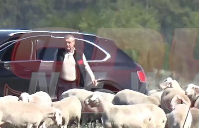 Imagini inedite surprinse de tabloide: Gigi Becali, cu limuzina de 200.000 de euro pe câmp, în inspecție la oi