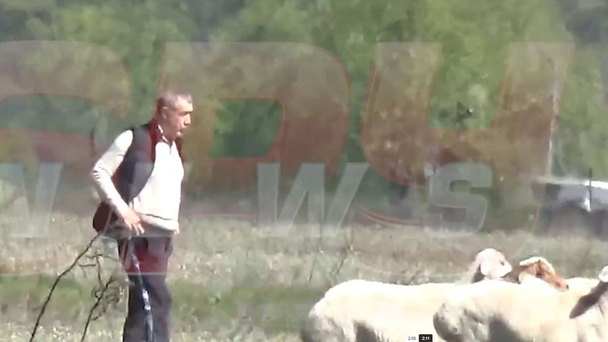 Imagini inedite surprinse de tabloide: Gigi Becali, cu limuzina de 200.000 de euro pe câmp, în inspecție la oi