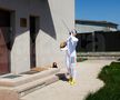 DOR DE SPORT » Proiect special GSP: 12 sportivi români fotografiați în casele lor, gata echipați de competiții