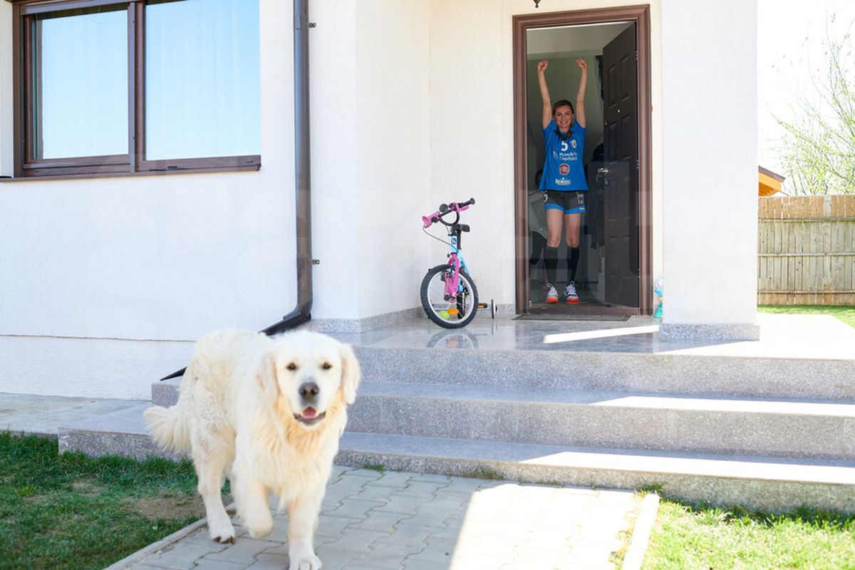 DOR DE SPORT » Ediție specială a Gazetei de azi: ziar cu 12 coperte! Sportivii s-au lăsat fotografiați în casele lor, gata echipați de competiții