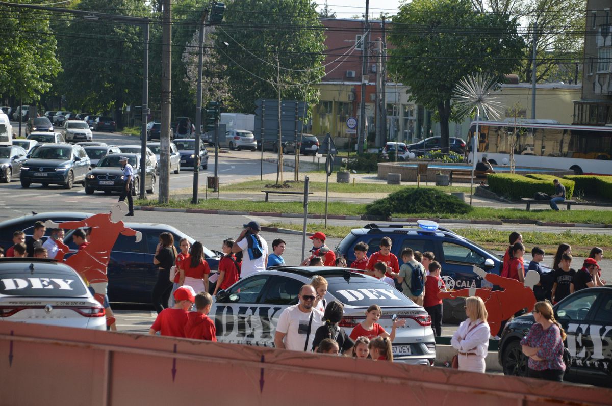 UTA Arad - Hermannstadt, poze înainte de meci