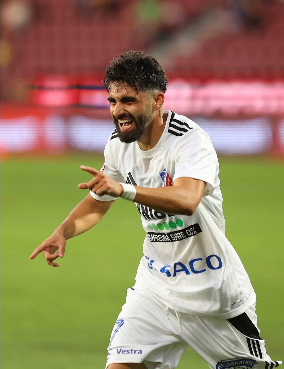 Seabstian Mailat - diverse carieră