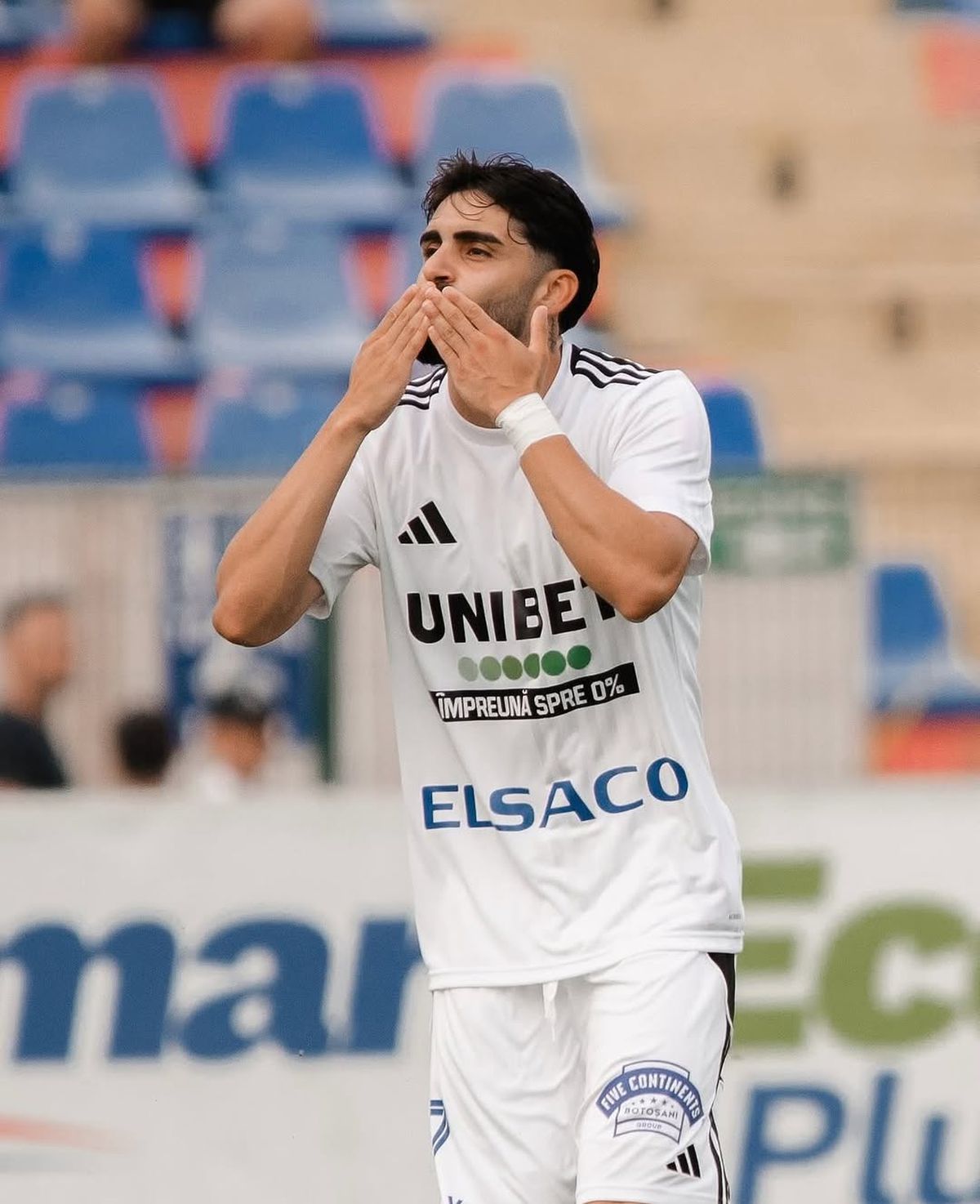 Seabstian Mailat - diverse carieră