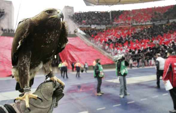 BUNDESLIGA. Vulturul, oprit la sol! Mascota lui Eintracht Frankfurt nu mai poate zbura