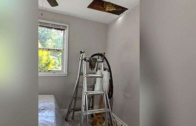 Descoperire șocantă în pereții noii lui case! Ce a găsit bărbatul alertat de un zgomot suspect