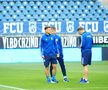 Imagini înainte de FCU Craiova - Hermannstadt/ foto Ionuț Iordache (GSP)