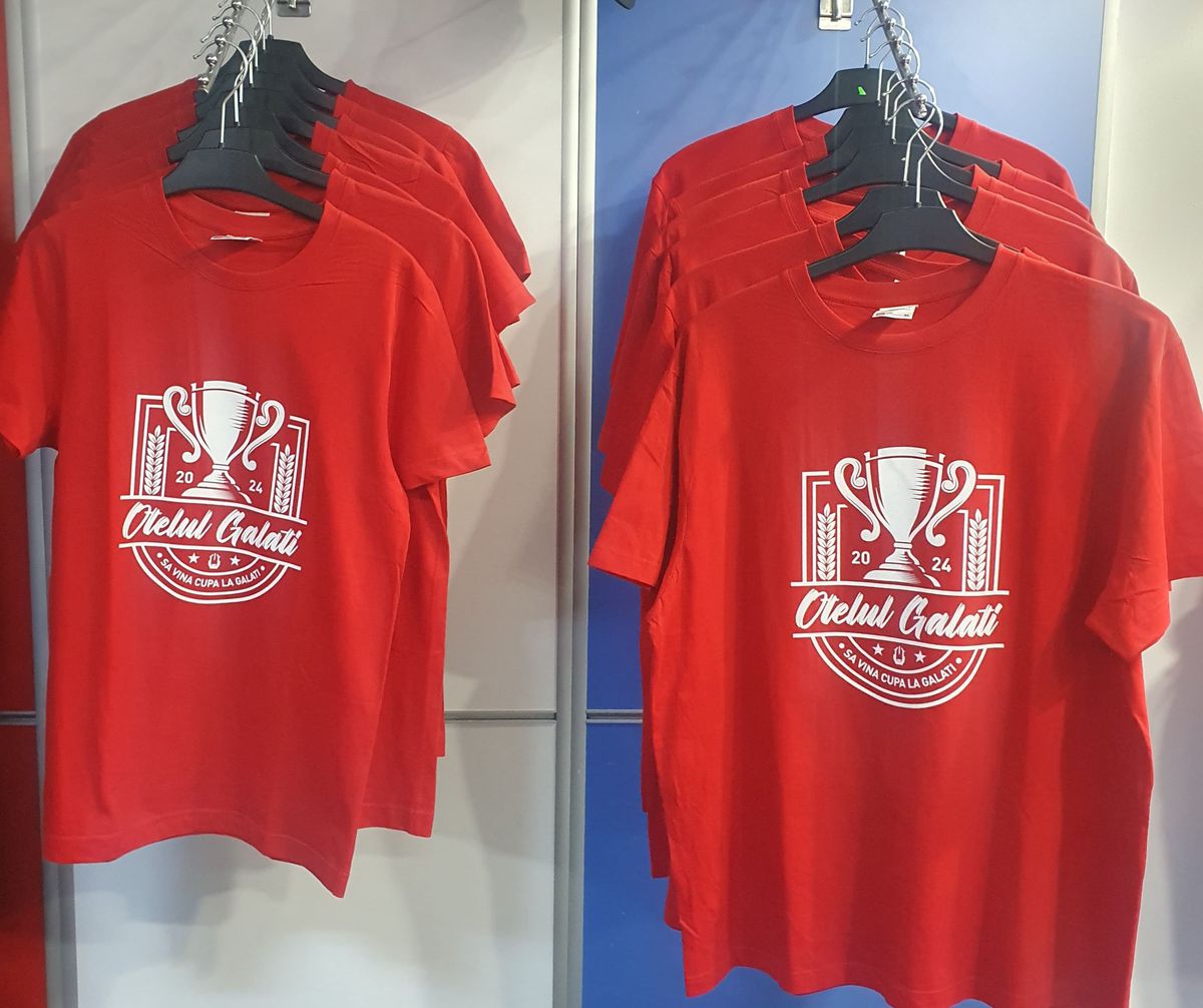 Oțelul - FC Botoșani, înainte de meci