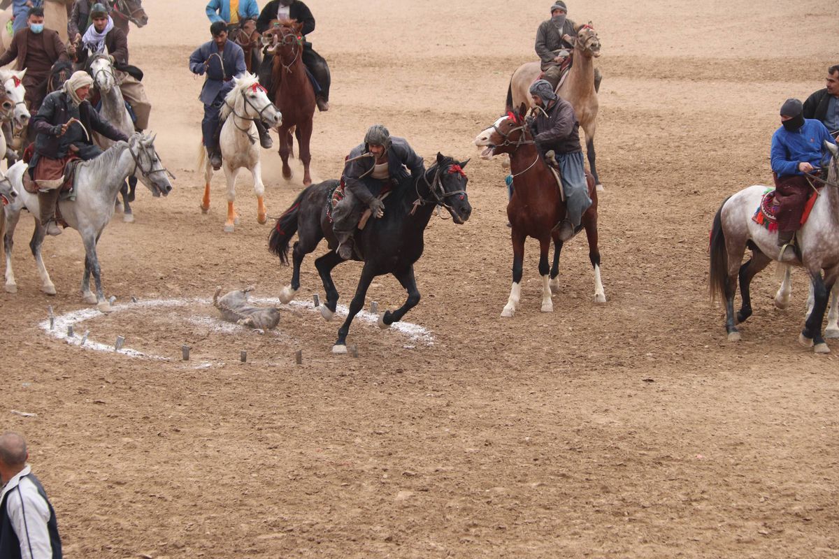 Aruncat cu leșul de capră, da! Șah, nu! Motivul incredibil pentru care talibanii au interzis „sportul minții”