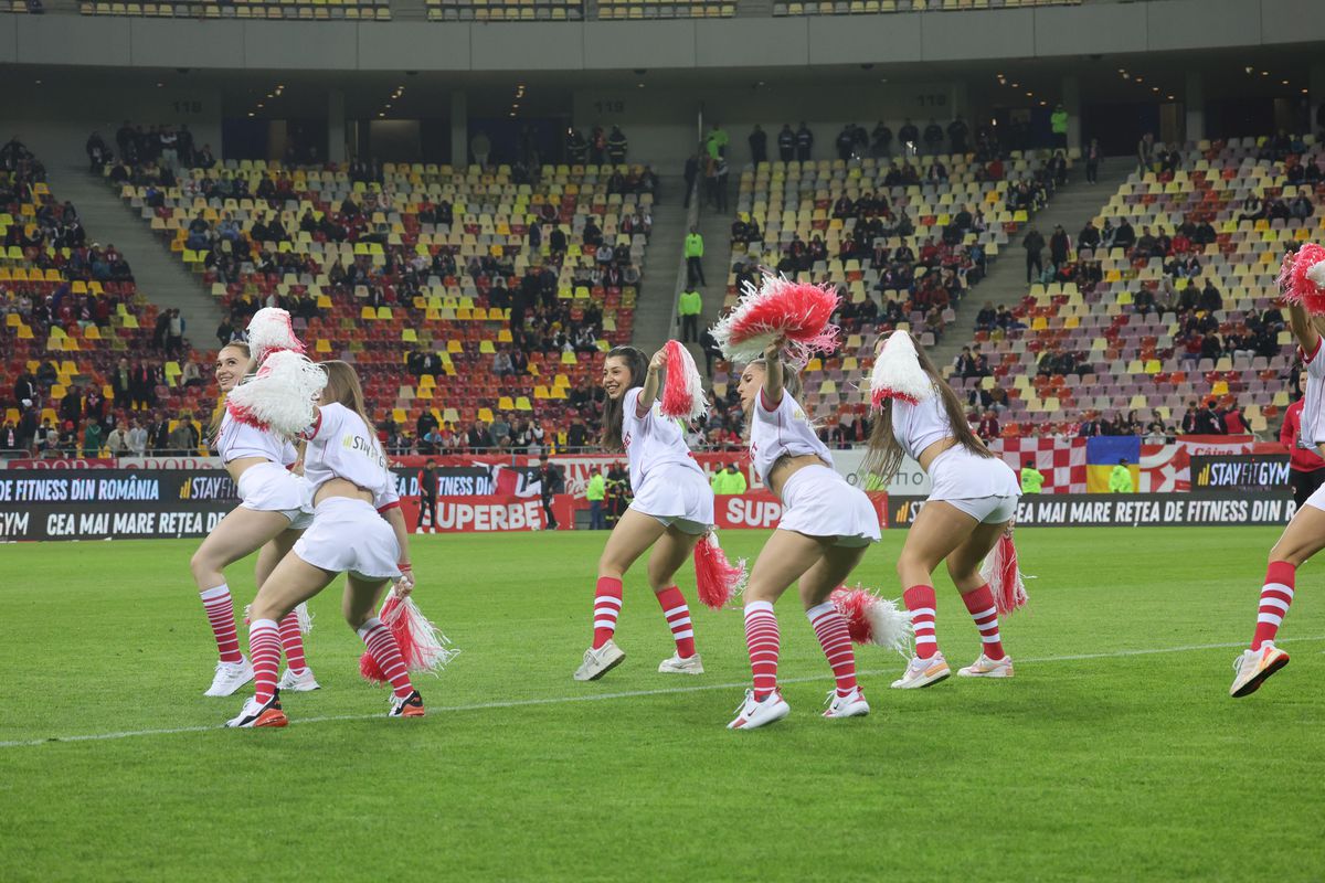 Mesajele galeriilor la Dinamo - Rapid