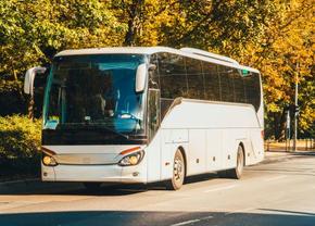 Care sunt indiciile că o companie de transport persoane internațional este serioasă și profesionistă
