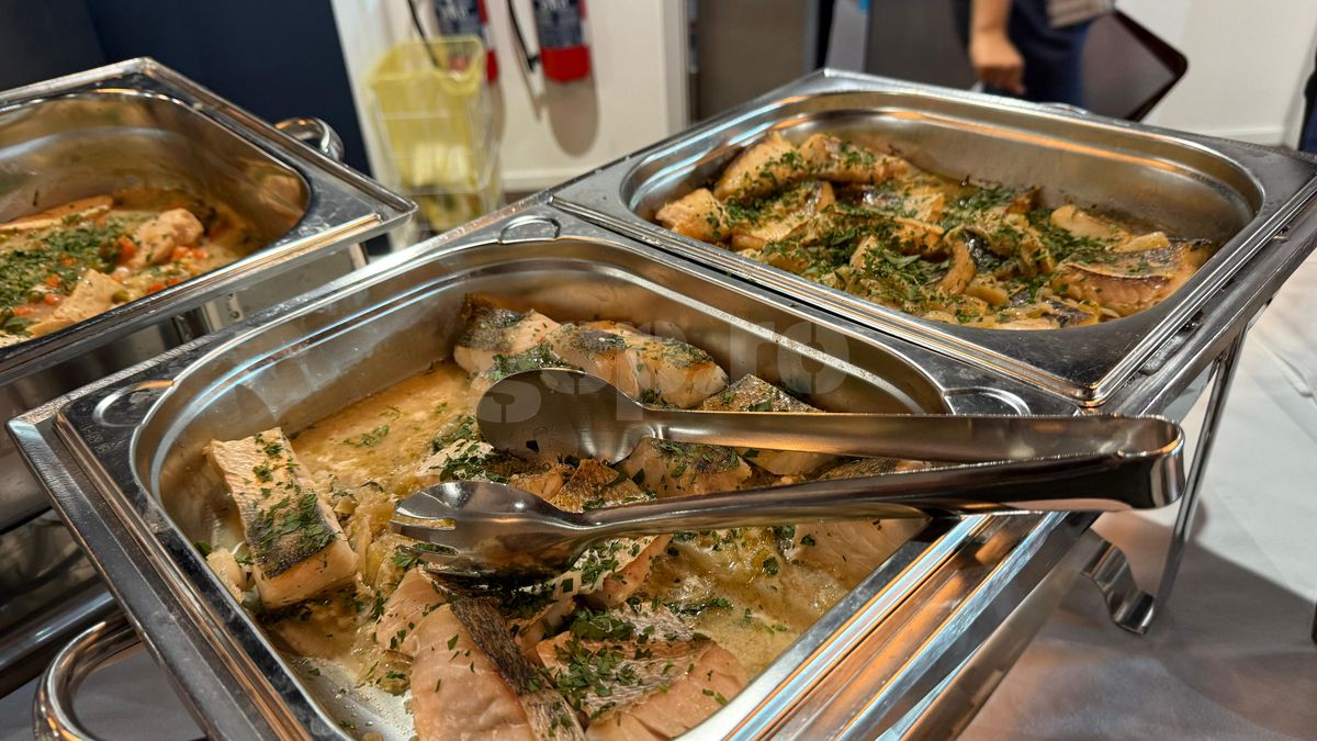 VIP la Euro U21 » Cum arată meniul Michelin de la meciuri: de la iepure cu dulceață de caise la șalău cu fenicul copt! Imaginile sunt savuroase