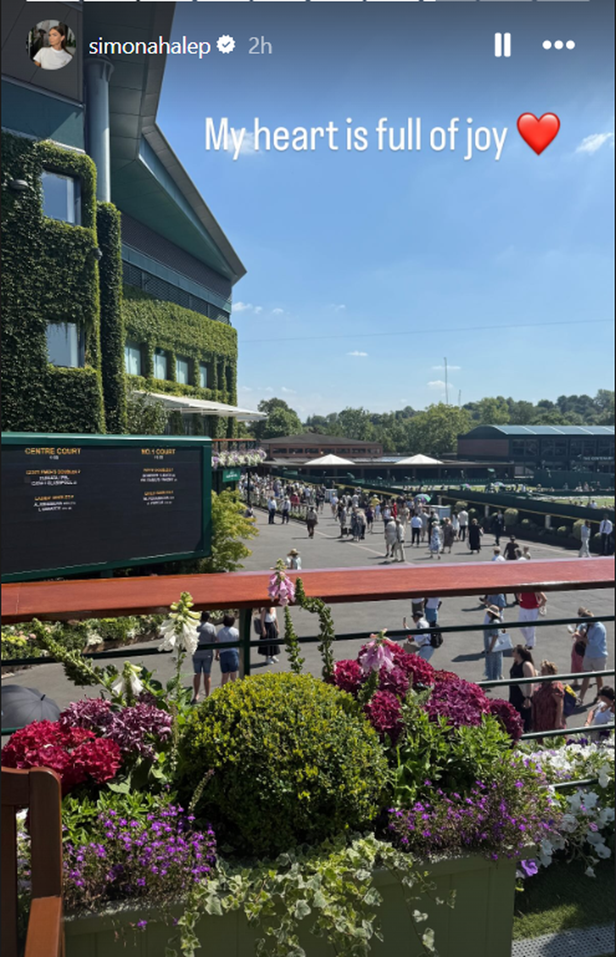Simona Halep, invitată să revină pe iarba de la Wimbledon: „I-am zis deja că vreau să joc cu ea”