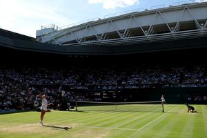 Pariul inedit al ambasadelor Poloniei și Statelor Unite ale Americii înaintea finalei de la Wimbledon: „Fie ca stomacul mai curajos să câștige”