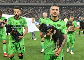 FCSB a refuzat câinii! Momente ciudate la Derby de România