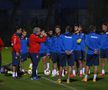 România U21 pe Ghencea sub privirile lui Burleanu și Stoichiță