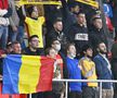 Fanii români în tribunele arenei din Ghencea // foto: Cristi Preda