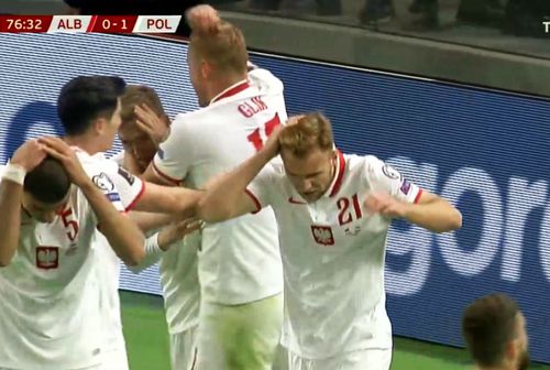 O ploaie de obiecte s-a abătut asupra jucătorilor polonezi după golul din minutul 77 / Captură Twitter
