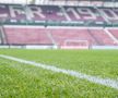 Gazon CFR Cluj
