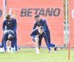 Antrenament FCSB înaintea returului cu Silkeborg (foto: Cristi Preda/GSP)