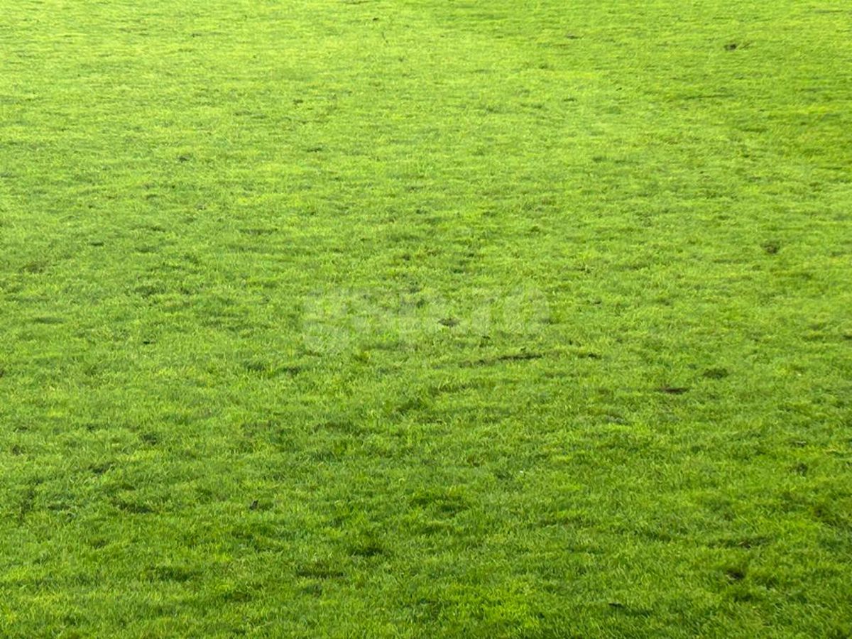 „Vă invit să vedeți gazonul la România - Anglia” » A venit momentul adevărului: cum arată astăzi terenul de pe „Arc”