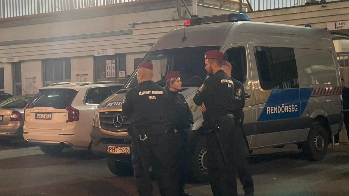 Panduru a văzut echipa lui Iordănescu și a rămas mirat de un aspect: „E o întrebare! Nu știu dacă s-a mai întâmplat” » Răspunsul lui Mihai Stoica