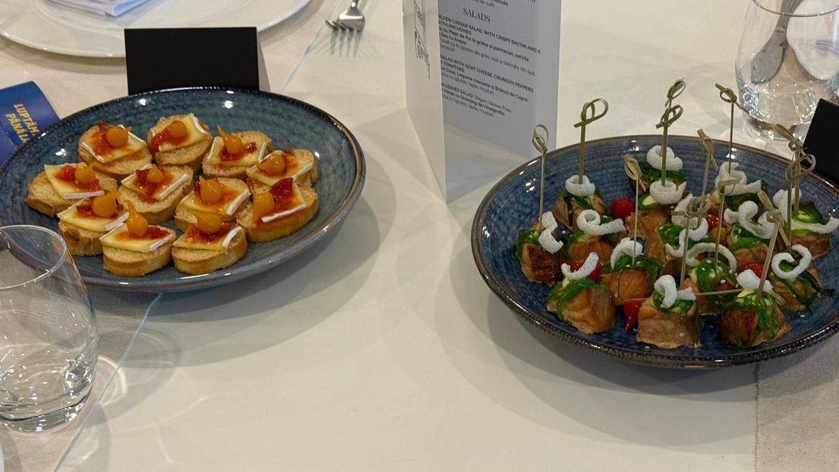 Imagini de la Arena Națională cu organizarea meciului România - Austria: grătare, „tratamentul” VIP și de la loje