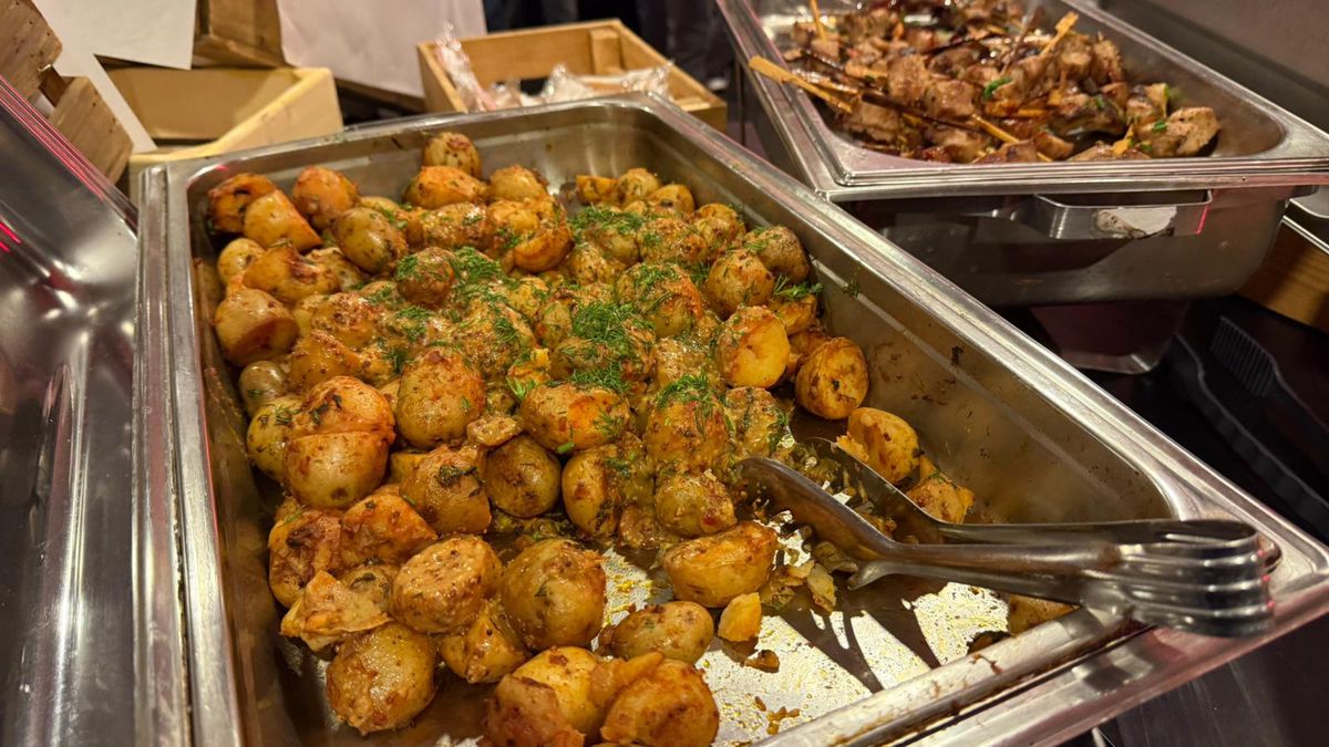 Imagini de la Arena Națională cu organizarea meciului România - Austria: grătare, „tratamentul” VIP și de la loje