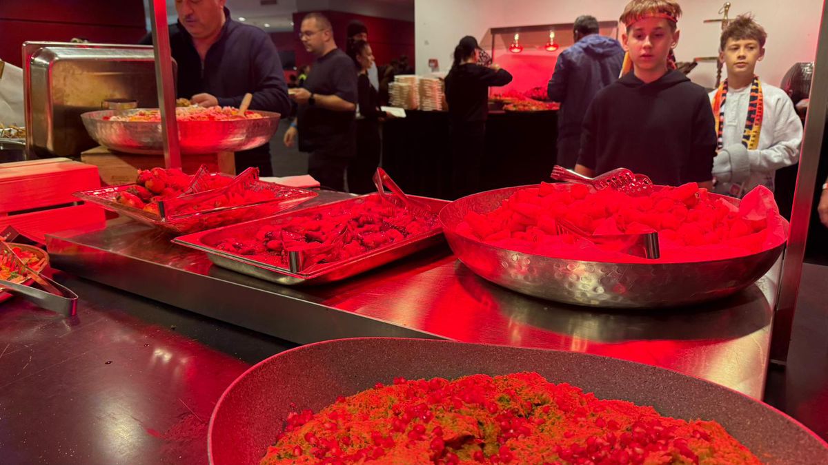 Imagini de la Arena Națională cu organizarea meciului România - Austria: grătare, „tratamentul” VIP și de la loje