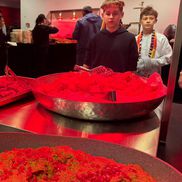 „Tratamentul” pentru cei cu bilet VIP la România - Austria