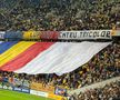 Scenografii la startul meciului Austria - România