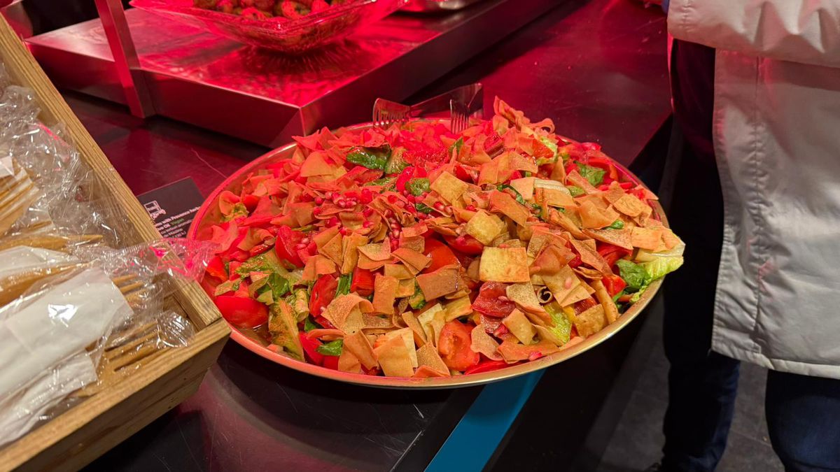 Imagini de la Arena Națională cu organizarea meciului România - Austria: grătare, „tratamentul” VIP și de la loje