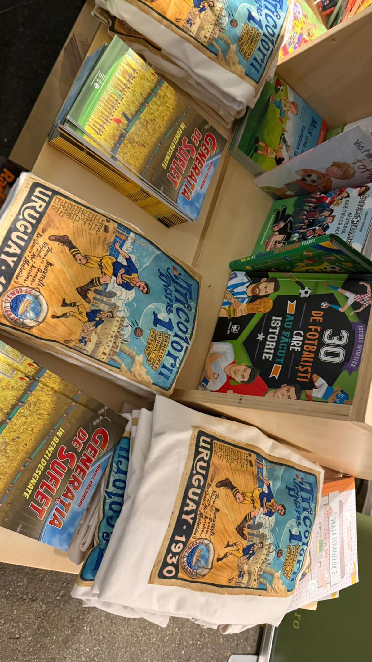 Imagini de la Arena Națională cu organizarea meciului România - Austria: grătare, „tratamentul” VIP și de la loje