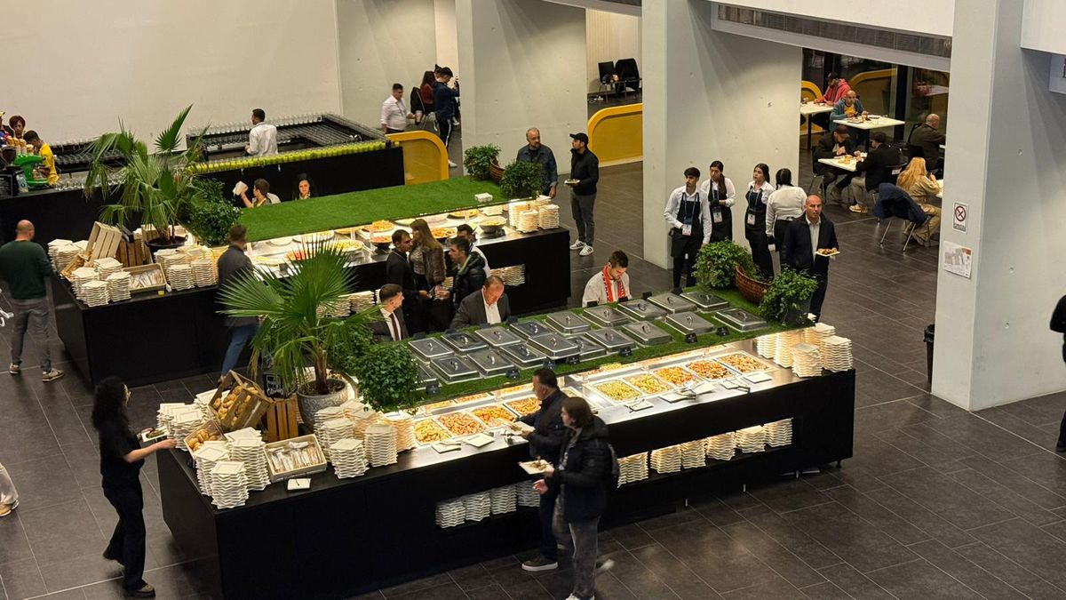 Imagini de la Arena Națională cu organizarea meciului România - Austria: grătare, „tratamentul” VIP și de la loje