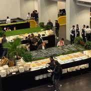 „Tratamentul” pentru cei cu bilet VIP la România - Austria