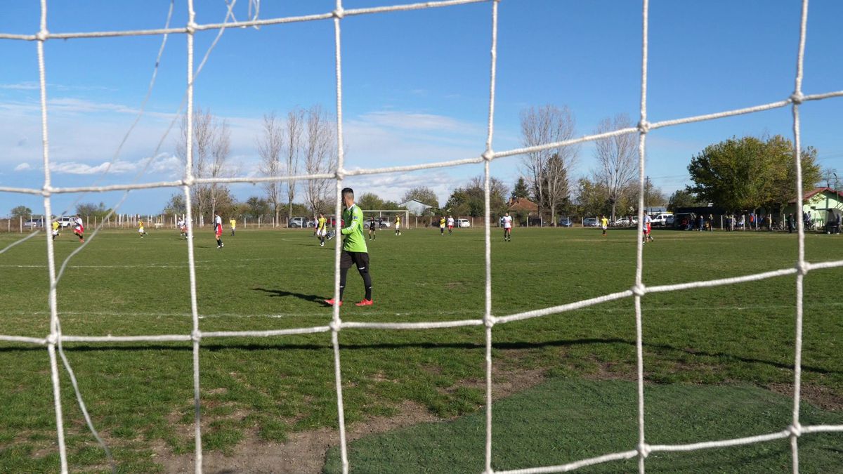 Indiana Jones și Paris din Buzău! Lecție de istorie de la Gherăseni: pe un câmp apar arheologi care studiază diadema din aur