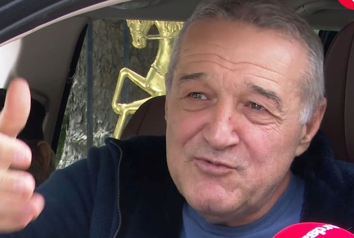 Cum arată noua afacere a lui Gigi Becali: „Vom face sute de milioane de euro!” » Au apărut primele imagini