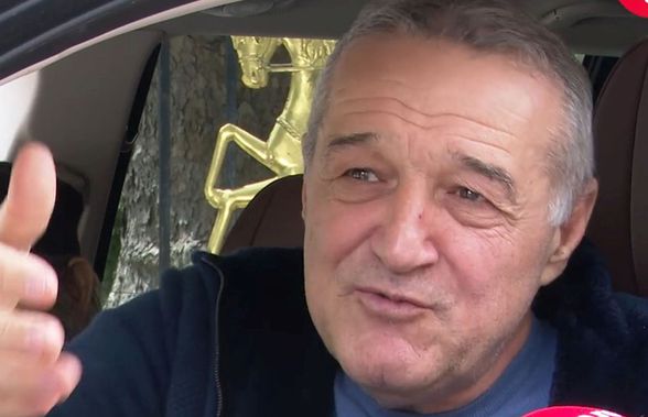 Cum arată noua afacere a lui Gigi Becali: „Vom face sute de milioane de euro!” » Au apărut primele imagini