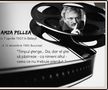 39 de ani fără „Viteazul” cinematografiei românești » Un text inedit, plin de haz al lui Amza Pellea despre a doua lui mare dragoste, Universitatea Craiova