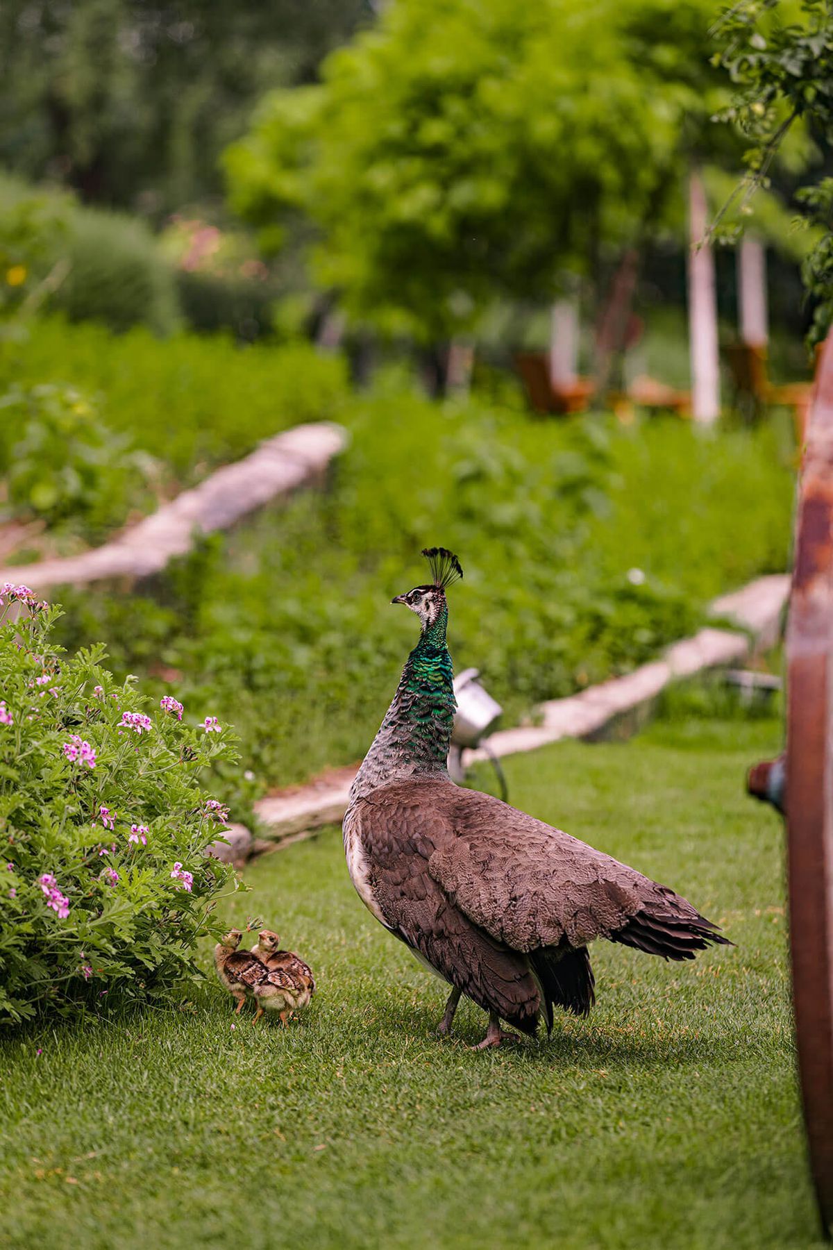 În hotelul Craiovei s-a ținut un summit G20. Printre oaspeți, Barack Obama, Angela Merkel și Vladimir Putin