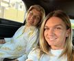 „Niște porci ordinari!” » Reacție violentă în apărarea Simonei Halep