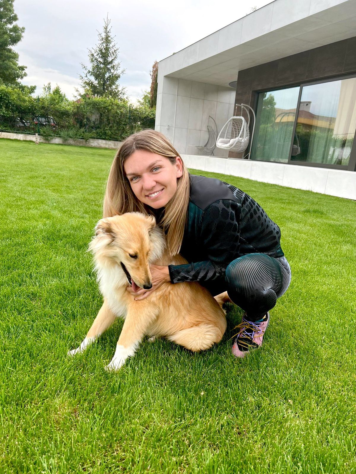 „Niște porci ordinari!” » Reacție violentă în apărarea Simonei Halep