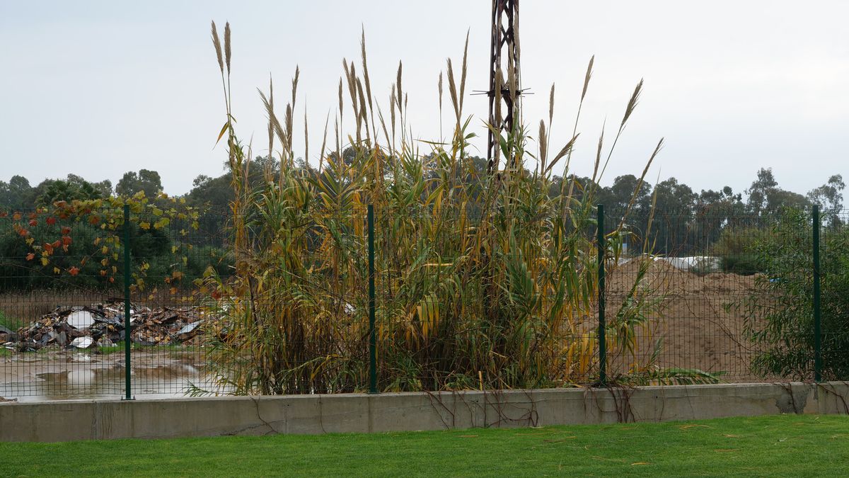 Amicalul Rapidului, în aer! Mutu amenință: „Nu jucăm pe așa ceva!”