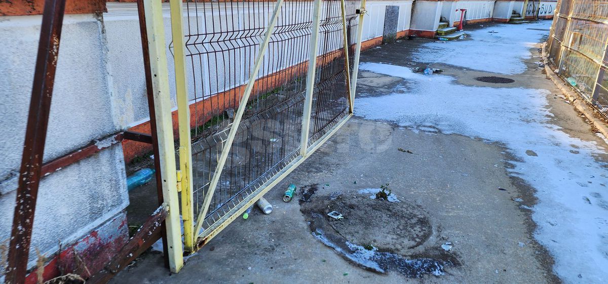 „Modelul Dan Șucu” versus „Iluzia Dinamo” » Previziunea unei voci importante: „Să vedeți ce se întâmplă când vor avea stadion nou”