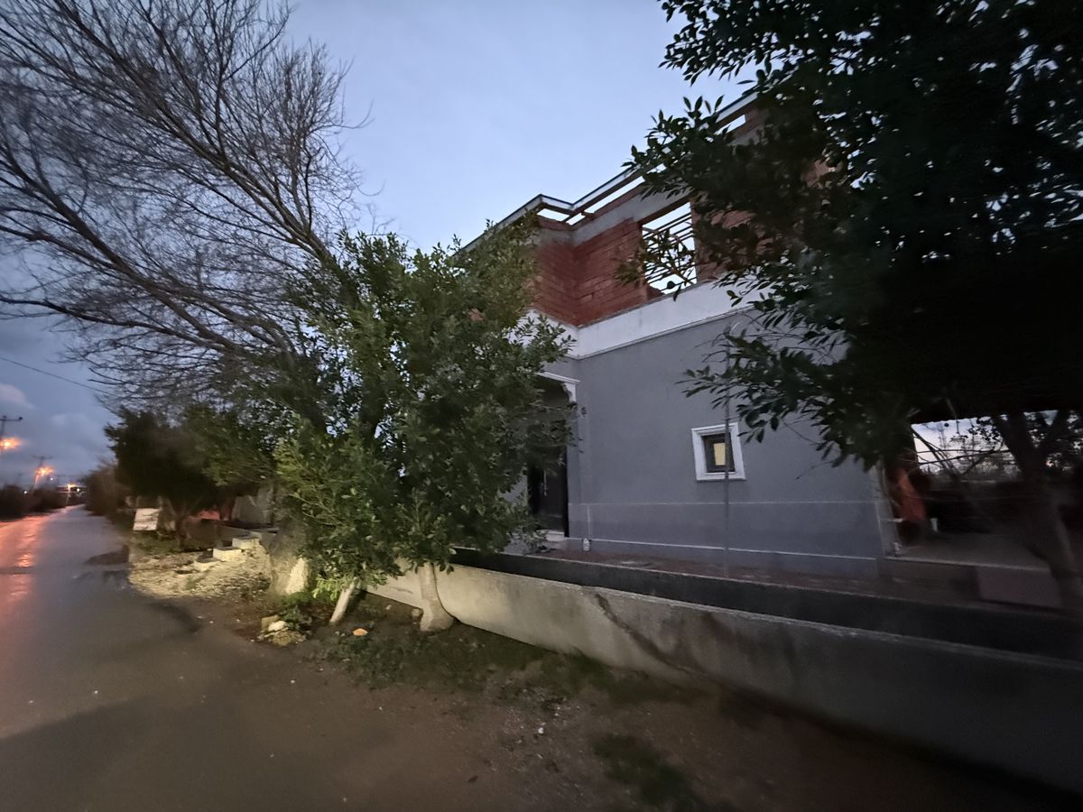 Unde se joacă amicalul Dinamo - Novi Pazar