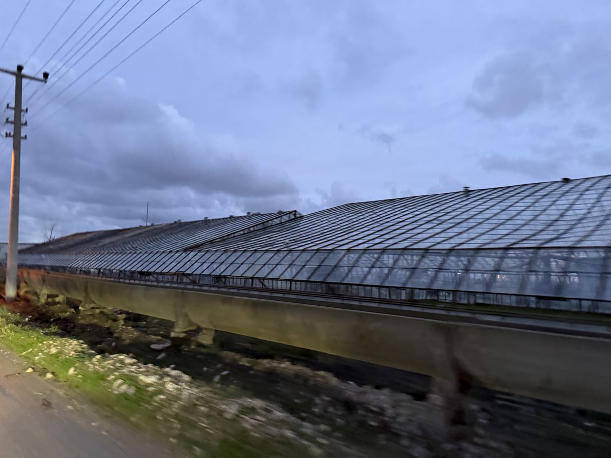 Unde se joacă amicalul Dinamo - Novi Pazar